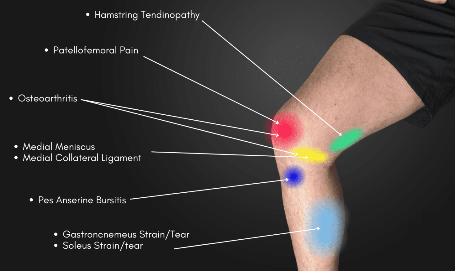 knee pain treatment