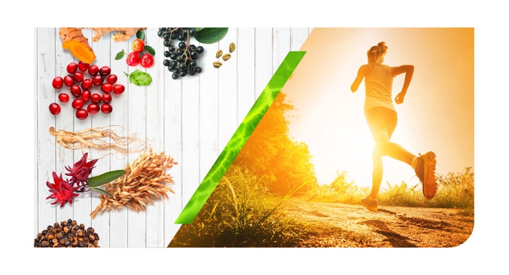natural suppliments