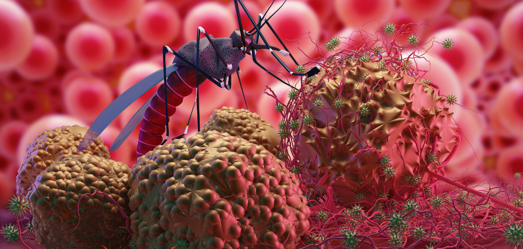 Introduction Malaria remains one of the deadliest mosquito-borne diseases, affecting millions worldwide. Caused by the Plasmodium parasite and transmitted through Anopheles mosquito bites, malaria can lead to severe complications if untreated. This comprehensive guide explores its causes, symptoms, prevention strategies, and treatment options. What Is Malaria? | A Deadly Parasitic Infection Malaria is a life-threatening disease caused by Plasmodium parasites, transmitted through the bites of infected Anopheles mosquitoes. Five parasite species infect humans, with Plasmodium falciparum being the most dangerous. How Is Malaria Transmitted? | The Role of Mosquitoes Malaria spreads when an infected Anopheles mosquito bites a person, injecting Plasmodium parasites into the bloodstream. Less common transmission methods include: Blood transfusions Mother-to-child during pregnancy Shared needle use Malaria Symptoms | Early Signs to Watch For Symptoms typically appear 10-15 days after infection and include: ✔ High fever ✔ Chills and sweats ✔ Headaches and muscle pain ✔ Fatigue and nausea ✔ Anemia and jaundice (in severe cases) Severe Malaria Complications | When It Becomes Life-Threatening Untreated malaria can progress to severe complications: Cerebral malaria (brain swelling) Organ failure (kidneys, liver) Severe anemia Respiratory distress Malaria Diagnosis | How Doctors Confirm Infection Diagnostic methods include: Rapid Diagnostic Tests (RDTs) – Detects parasite proteins. Microscopy – Gold standard for identifying parasites in blood. PCR Testing – For precise species identification. Malaria Treatment | Effective Antimalarial Drugs Treatment depends on the [Plasmodium] species and severity: Chloroquine (for sensitive strains) Artemisinin-based Combination Therapy (ACT) – First-line for [P. falciparum] Quinine + Doxycycline – For severe cases Malaria Prevention | How to Stay Protected Preventive measures include: ✅ Insecticide-treated nets (ITNs) ✅ Indoor residual spraying (IRS) ✅ Antimalarial prophylaxis for travelers ✅ Malaria vaccine (RTS,S) for children in endemic areas Malaria Vaccine | Breakthrough in Prevention The RTS,S/AS01 (Mosquirix) vaccine, approved by WHO, reduces severe malaria cases in children by 30%. Research continues for more effective vaccines. Malaria and Pregnancy | Risks and Precautions Pregnant women face higher risks, including: Miscarriage Low birth weight Maternal anemia Prevention involves ITNs and intermittent preventive treatment (IPTp). Malaria FAQs: Your Top Questions Answered 1. What causes malaria? Malaria is caused by Plasmodium parasites transmitted via Anopheles mosquito bites. 2. What are the first signs of malaria? Early symptoms include fever, chills, headache, and muscle pain. 3. How is malaria diagnosed? Through blood tests like RDTs, microscopy, or PCR. 4. Can malaria kill you? Yes, severe malaria can be fatal without prompt treatment. 5. Is there a malaria vaccine? Yes, the RTS,S vaccine is approved for children in high-risk areas. 6. How can I prevent malaria? Use mosquito nets, repellents, and take antimalarial drugs if traveling to endemic regions. 7. Which countries have the highest malaria risk? Sub-Saharan Africa, South Asia, and parts of South America. 8. Can malaria recur after treatment? Yes, some species (like P. vivax) can remain dormant and relapse. 9. How long does malaria last? With treatment, symptoms improve in 2-3 days; without treatment, it can persist for weeks. 10. Can you get malaria twice? Yes, reinfection is possible if bitten again by an infected mosquito. 11. What's the incubation period for malaria? The time between mosquito bite and symptoms varies by parasite: P. falciparum: 9-14 days P. vivax: 12-18 days (can remain dormant for months/years) P. malariae: 18-40 days 12. Can malaria spread person-to-person? No direct human-to-human transmission except: Mother to fetus (congenital malaria) Blood transfusions Organ transplants Needle sharing 13. What's the most dangerous malaria type? Plasmodium falciparum causes: 90% of malaria deaths Cerebral malaria (brain complications) Rapid progression to severe illness 14. How effective are malaria bed nets? Insecticide-treated nets (ITNs): Reduce malaria cases by 50% Kill and repel mosquitoes Protect entire families when used properly 15. What antimalarial drugs prevent infection? Common prophylactics include: Doxycycline (daily) Malarone (atovaquone-proguanil, daily) Mefloquine (weekly) Chloroquine (in sensitive regions only) 16. Can you get malaria in urban areas? Risk depends on: Local mosquito breeding sites Sanitation conditions Climate (rainfall/temperature) Many African cities still have transmission 17. What's the best malaria treatment? WHO recommends: Artemisinin-based combination therapy (ACT) IV artesunate for severe cases Primaquine for P. vivax/P. ovale (prevents relapse) 18. How does climate change affect malaria? Warming expands: Mosquito habitat ranges Transmission seasons Higher altitudes becoming risk areas 19. Can malaria cause long-term effects? Possible complications: Neurological damage (after cerebral malaria) Chronic anemia Splenomegaly (enlarged spleen) Increased susceptibility to other infections 20. Why is malaria deadly for children? Pediatric vulnerabilities: Less developed immunity Rapid progression to severe anemia Higher risk of cerebral complications Accounts for 67% of malaria deaths 21. What's the R21/Matrix-M malaria vaccine? Newer vaccine (2023 WHO-approved): 75% efficacy in trials Lower cost than RTS,S Requires 4 doses For children in endemic areas 22. How do mosquitoes transmit malaria? Transmission cycle: Mosquito bites infected person Parasites develop in mosquito (10-18 days) Infected mosquito bites new victim Parasites multiply in human liver then blood 23. Can malaria be eradicated? Global eradication challenges: Mosquito resistance to insecticides Drug-resistant parasites Funding gaps Current goal: 90% reduction by 2030 24. What's "asymptomatic malaria"? Parasites present without symptoms: Common in endemic areas Can still transmit to mosquitoes Detected only by testing 25. How accurate are malaria rapid tests? RDT performance: 95% sensitivity for P. falciparum Lower for other species Can give false negatives early in infection 26. Why does malaria cause cyclical fevers? Fever patterns correspond to: Synchronized parasite replication P. vivax: 48-hour cycles ("tertian fever") P. malariae: 72-hour cycles ("quartan fever") 27. Can you build immunity to malaria? Partial immunity develops: After multiple infections Doesn't prevent reinfection Reduces severity over time Lost after leaving endemic areas 28. What's "blackwater fever"? Severe complication featuring: Dark urine (hemoglobinuria) Massive red blood cell destruction Kidney failure risk Associated with falciparum malaria 29. How is malaria treated in pregnancy? Special considerations: ACTs generally safe after 1st trimester IV quinine for severe cases Additional iron/folate often needed 30. What's "cerebral malaria"? Life-threatening neurological form: Altered consciousness Seizures 15-20% mortality even with treatment Can cause long-term cognitive deficits 31. Can malaria parasites become resistant? Growing resistance issues: Artemisinin resistance in SE Asia Chloroquine resistance worldwide Mosquito resistance to pyrethroids 32. How do you prevent malaria relapse? For P. vivax/P. ovale: Primaquine (14-day course) Tafenoquine (single dose) Requires G6PD testing first (risk of anemia) 33. What's "bubble malaria"? Misconception alert: No such medical term exists May confuse with dengue ("breakbone fever") False social media terminology 34. Can malaria affect the heart? Cardiac complications: Myocarditis (rare) Electrolyte imbalances Hypotension from severe infection 35. How is malaria different from dengue? Key distinctions: Malaria: Parasitic cause Cyclical fevers Blood smear diagnosis Dengue: Viral cause Continuous high fever Rapid test/NS1 antigen detection 36. What's "airport malaria"? Rare cases where: Infected mosquitoes travel by plane Bite people near airports Causes local transmission in non-endemic areas 37. Can malaria cause mental health issues? Post-malaria conditions: Depression/anxiety PTSD from severe illness Cognitive impairment after cerebral malaria 38. How do you control malaria outbreaks? Public health measures: Mass drug administration Indoor residual spraying Community education Enhanced surveillance 39. What animals carry malaria? Zoonotic malaria species: P. knowlesi (macaques in SE Asia) Can infect humans Causes severe illness similar to falciparum 40. Where can I get malaria travel advice? Reliable resources: CDC Malaria Map by Country WHO International Travel Guidelines Tropical medicine clinics National public health agencies Conclusion Malaria remains a global health threat, but with proper prevention, early diagnosis, and effective treatment, its impact can be reduced. Stay informed, take protective measures, and seek medical help if symptoms arise.