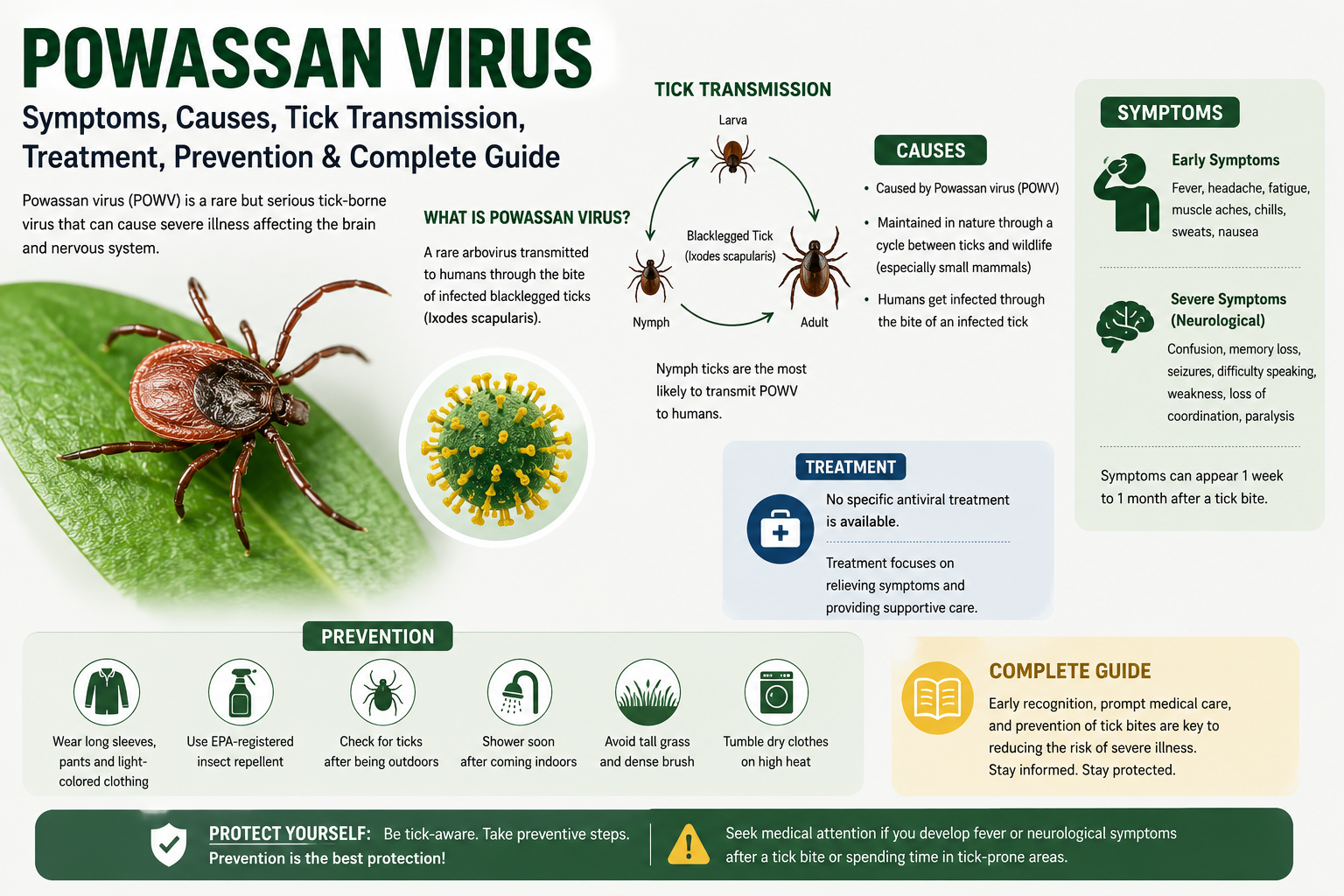 Powassan Virus